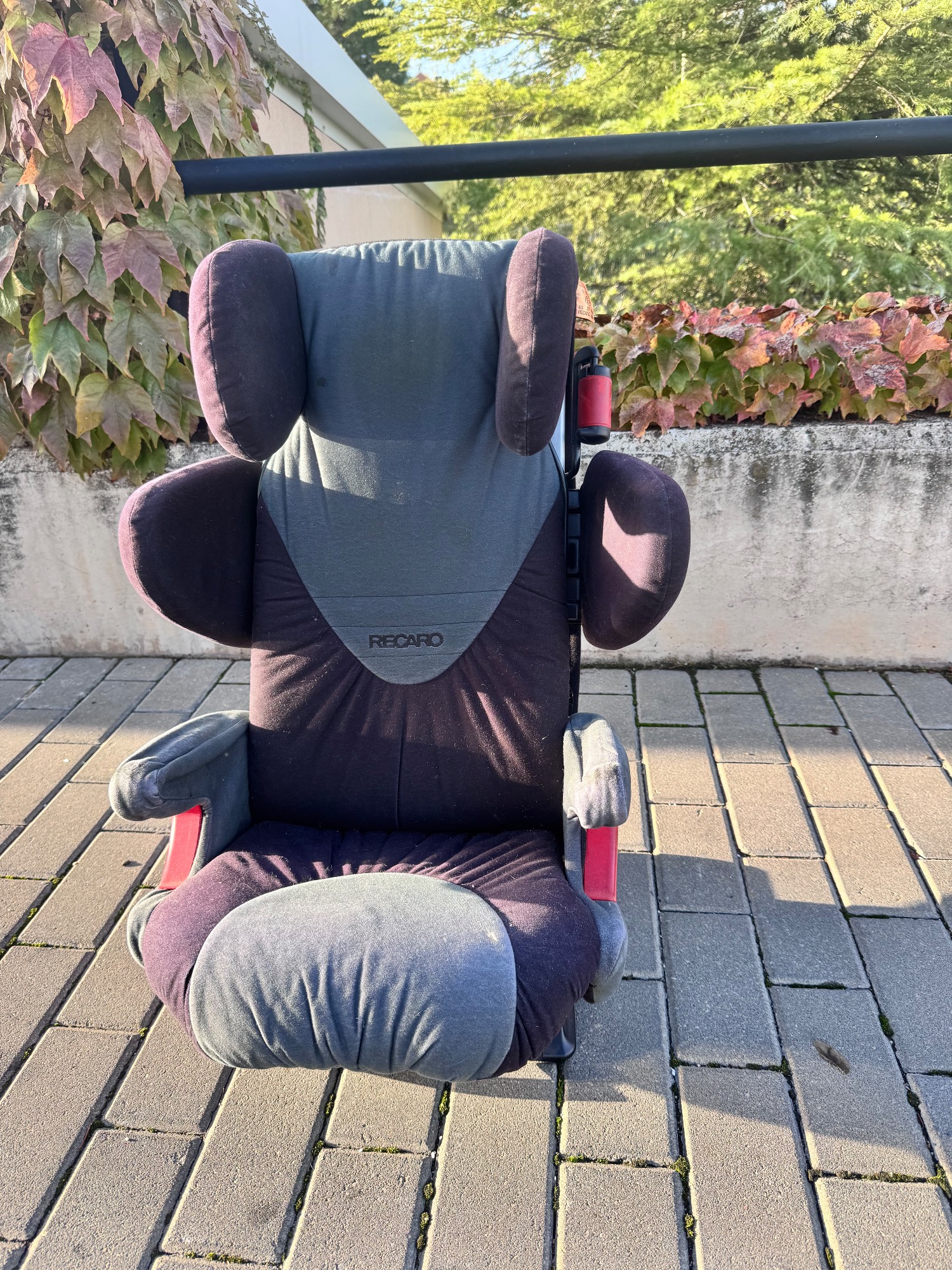 Silla coche recaro